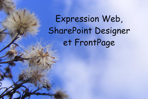 Les logiciels Microsoft Expression Web, SharePoint Designer et FrontPage